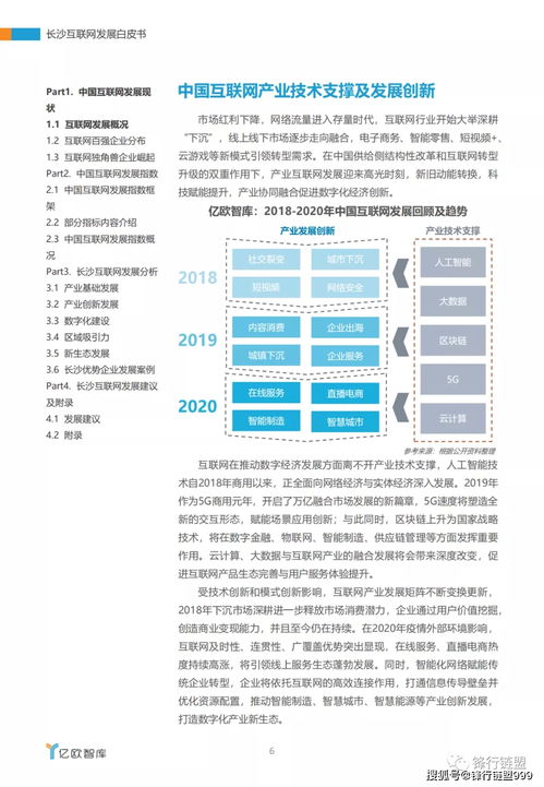 2020長沙互聯(lián)網(wǎng)發(fā)展白皮書 軟件開發(fā)產(chǎn)業(yè)的崛起與展望