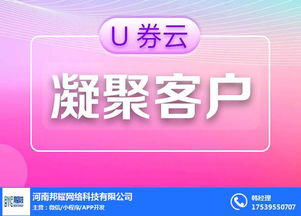 長沙淘客系統(tǒng) 本地化軟件開發(fā)的機(jī)遇與挑戰(zhàn)